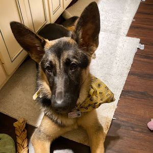 Meet your Posher, Corinne